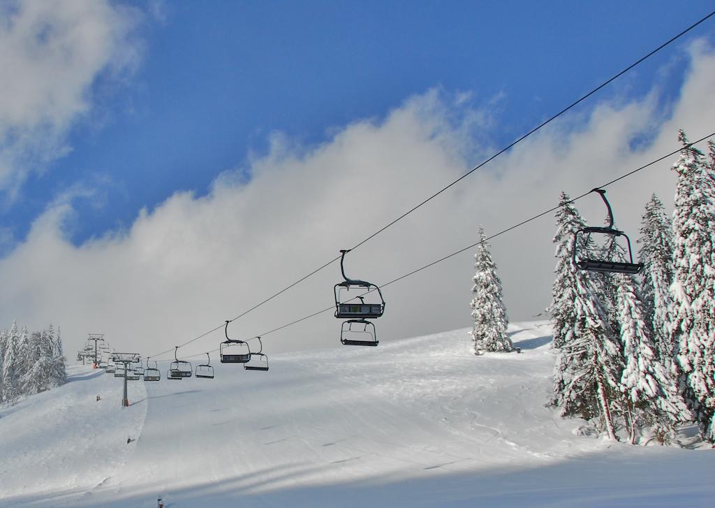 Holzbox Niederalpl Aparthotel Mürzsteg Esterno foto